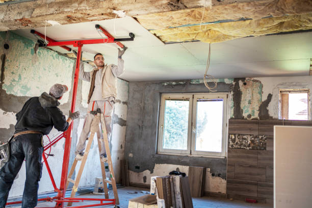 Best Insulation Inspection Services  in St Michael, MN