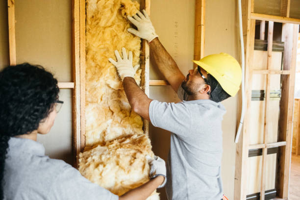 Best Insulation Contractor Near Me  in St Michael, MN