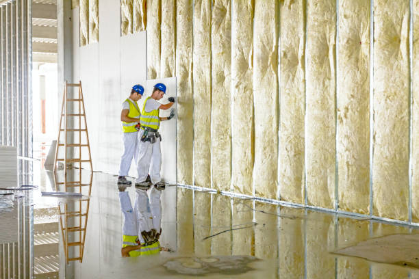 Garage Insulation Installation in St Michael, MN
